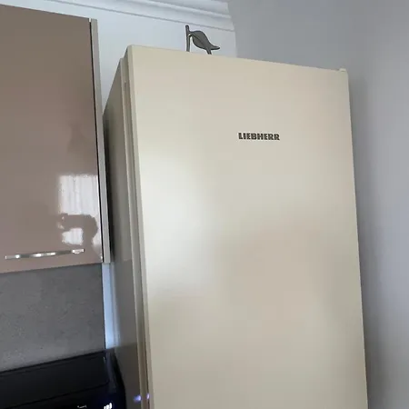 Phoenix Apartment